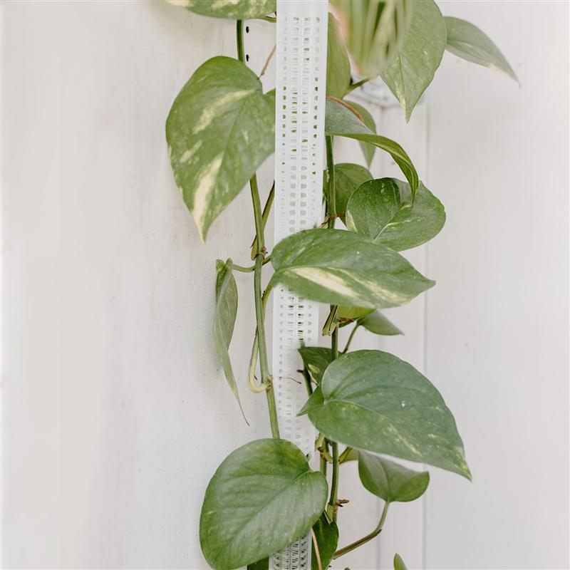 BowLift | Pillar for climbing plants and green plants – Support columns for vertical plant cultivation