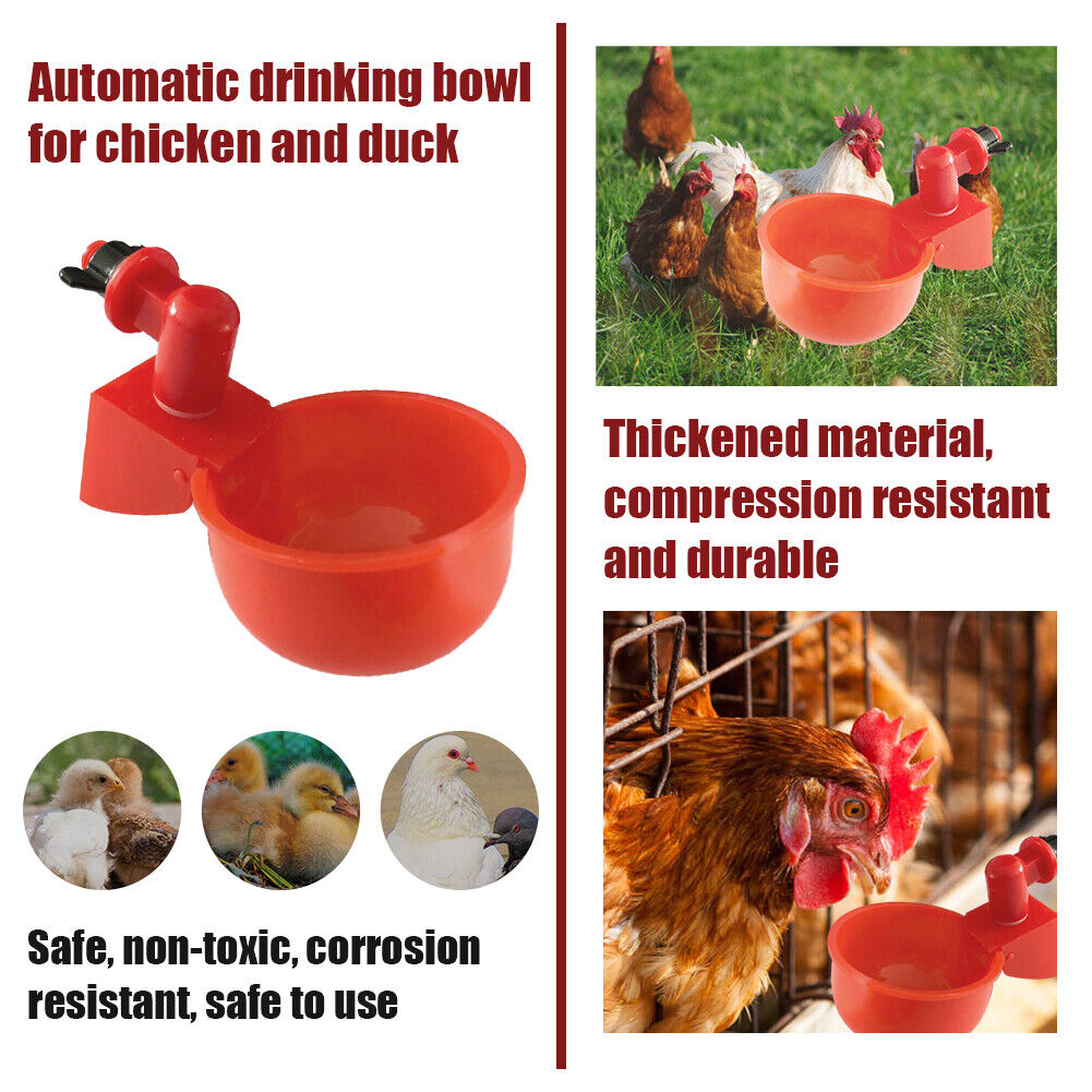 BowLift | Automatic Poultry Drinker