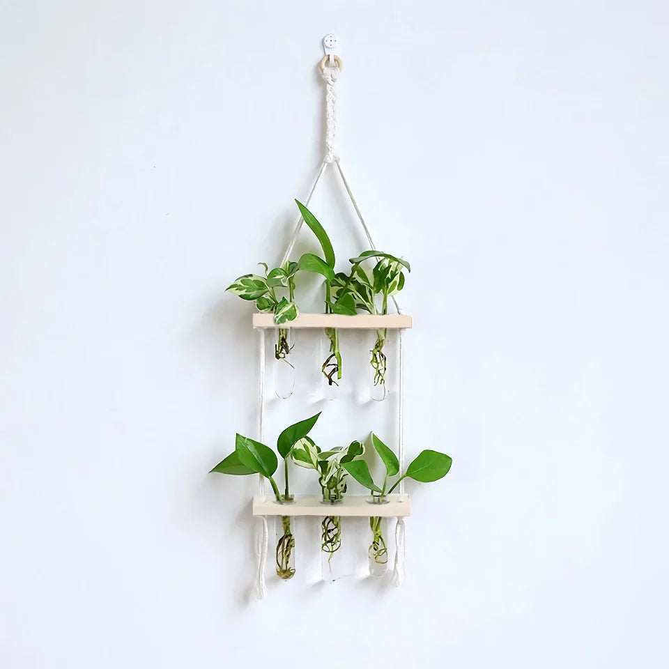BowLift | Elegant Wooden Hydroponic Wall Vase