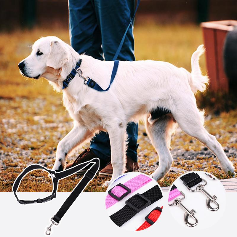 BowLift | Adjustable Car Dog Leash