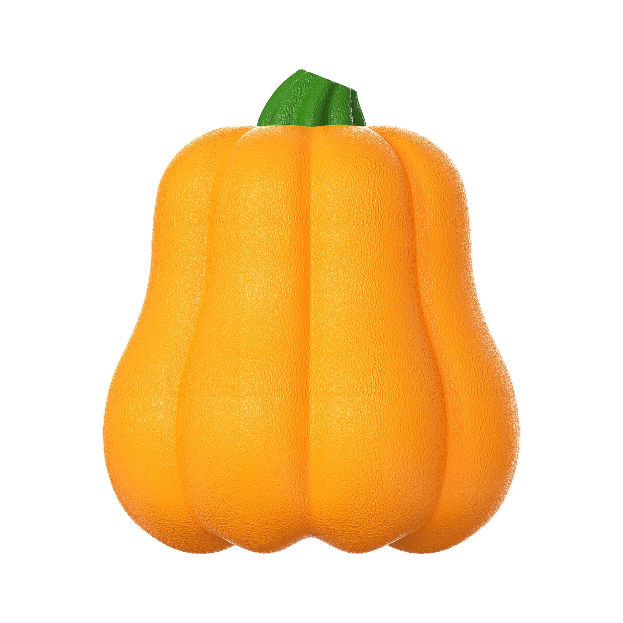 Pumpkin Indoor Chew & Play Toy for Dogs