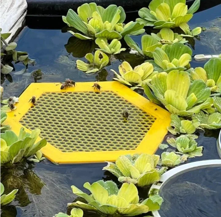 BowLift | Floating Bee Island - Bee Waterer