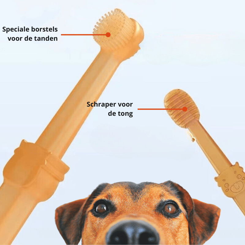 BowLift | Gentle silicone toothbrush for dogs & cats