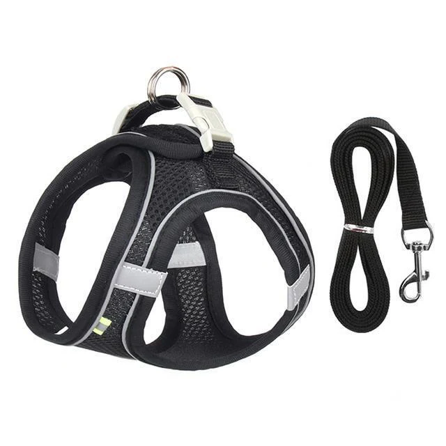 BowLift | Adjustable Harness and Leash Set for Small Dogs and Cats