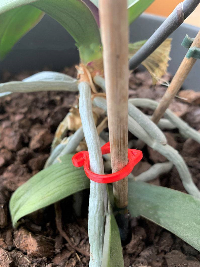 BowLift | Cat-shaped Plant Clip – Cute Plant Support for Garden and House Plants