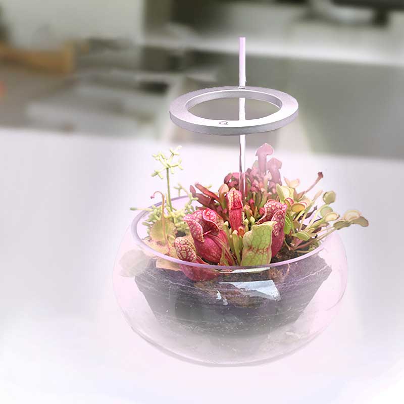 BowLift | Grow lights for indooe plants