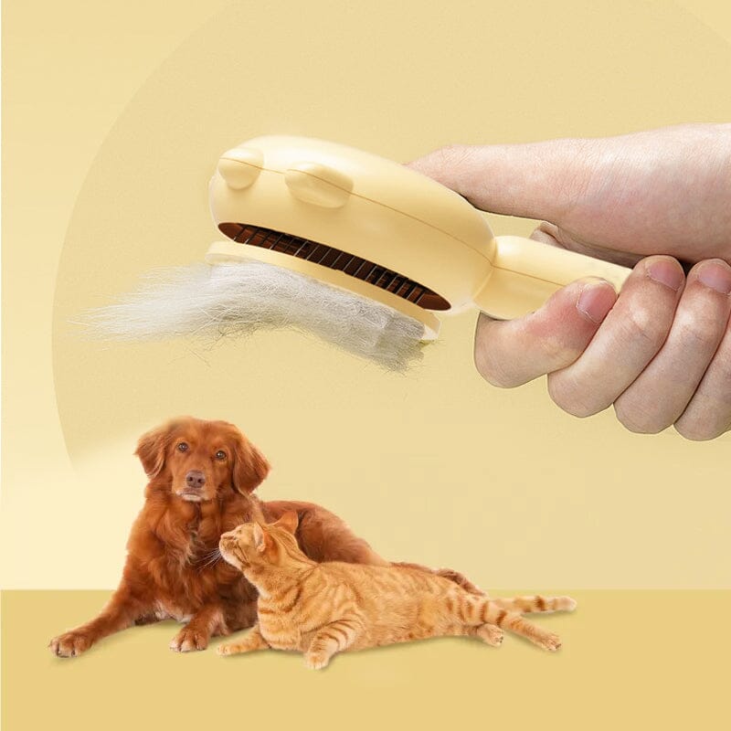 BowLift | Pet Hair Brush
