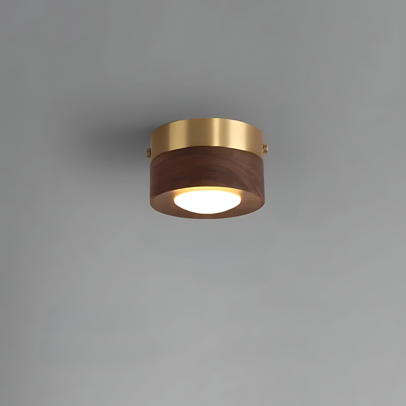BowLift | Walnut ceiling lamp with LED spotlight