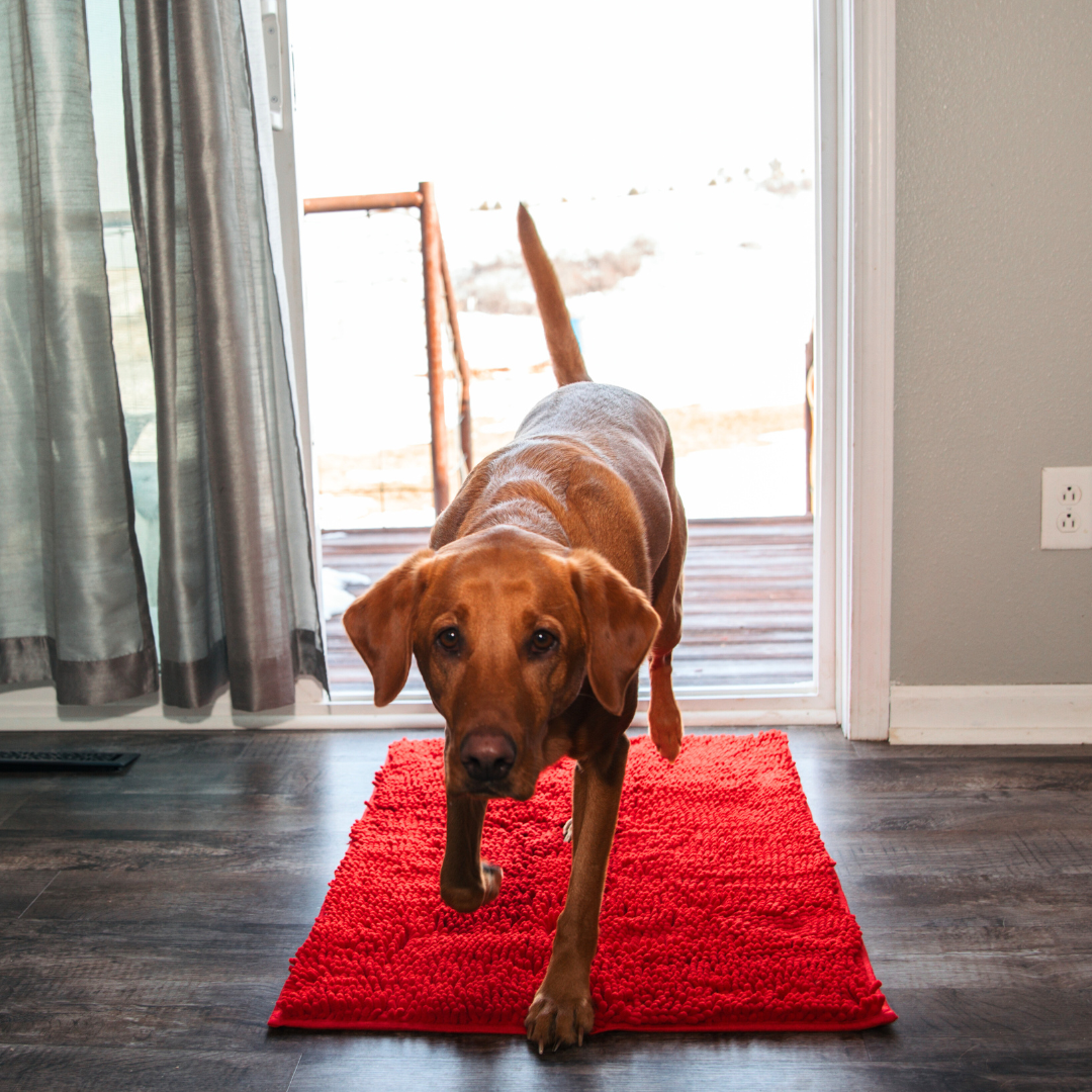BowLift | Joep Dog Door Mat – Super Absorbent Mat for Dirty Paws