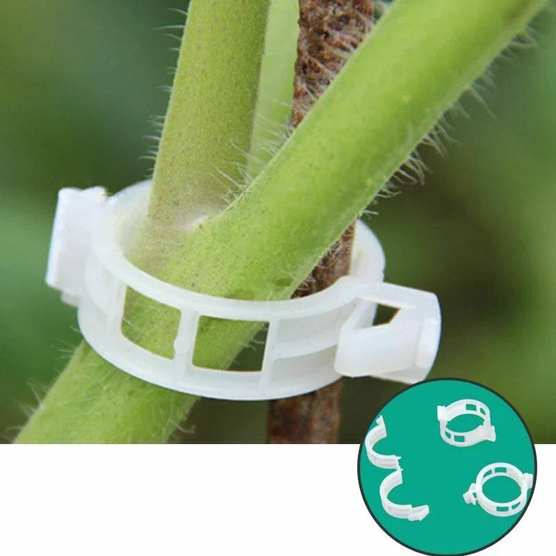 BowLift | Plant support clip for climbing plants – Flexible holder for plant stems