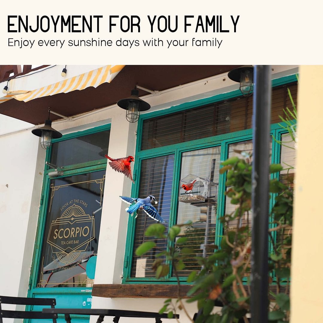 BowLift | Bird feeder in the window for outdoor use