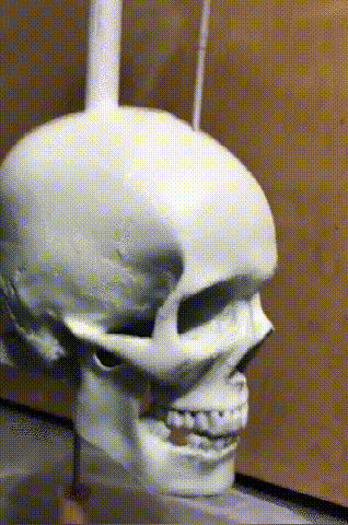 BowLift | Iron Skull Whirligig - Garden Decor