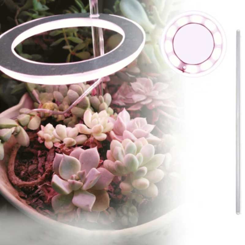 BowLift | Grow lights for indooe plants