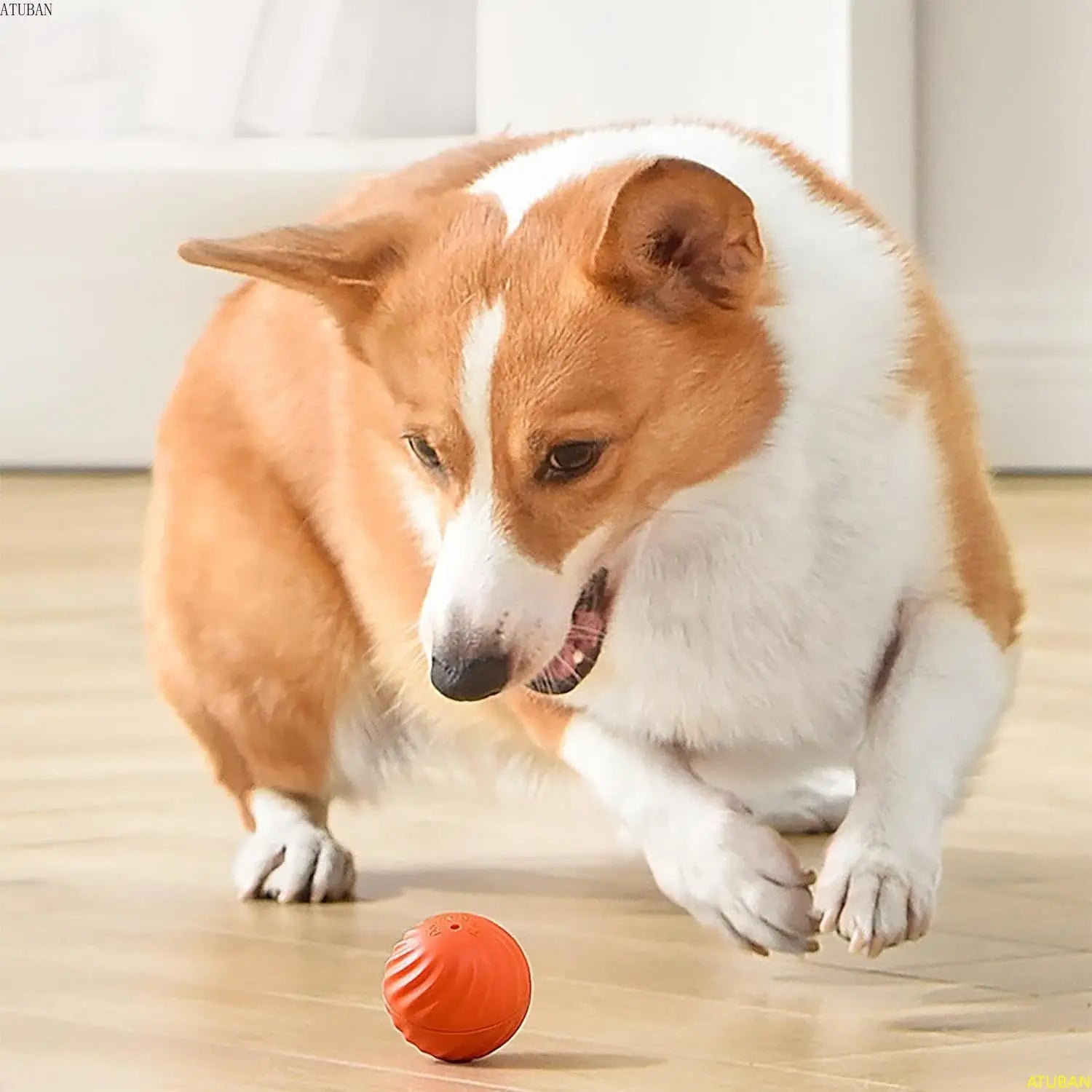 BowLift | Interactive Rechargeable Jumping Ball Toy for Dogs
