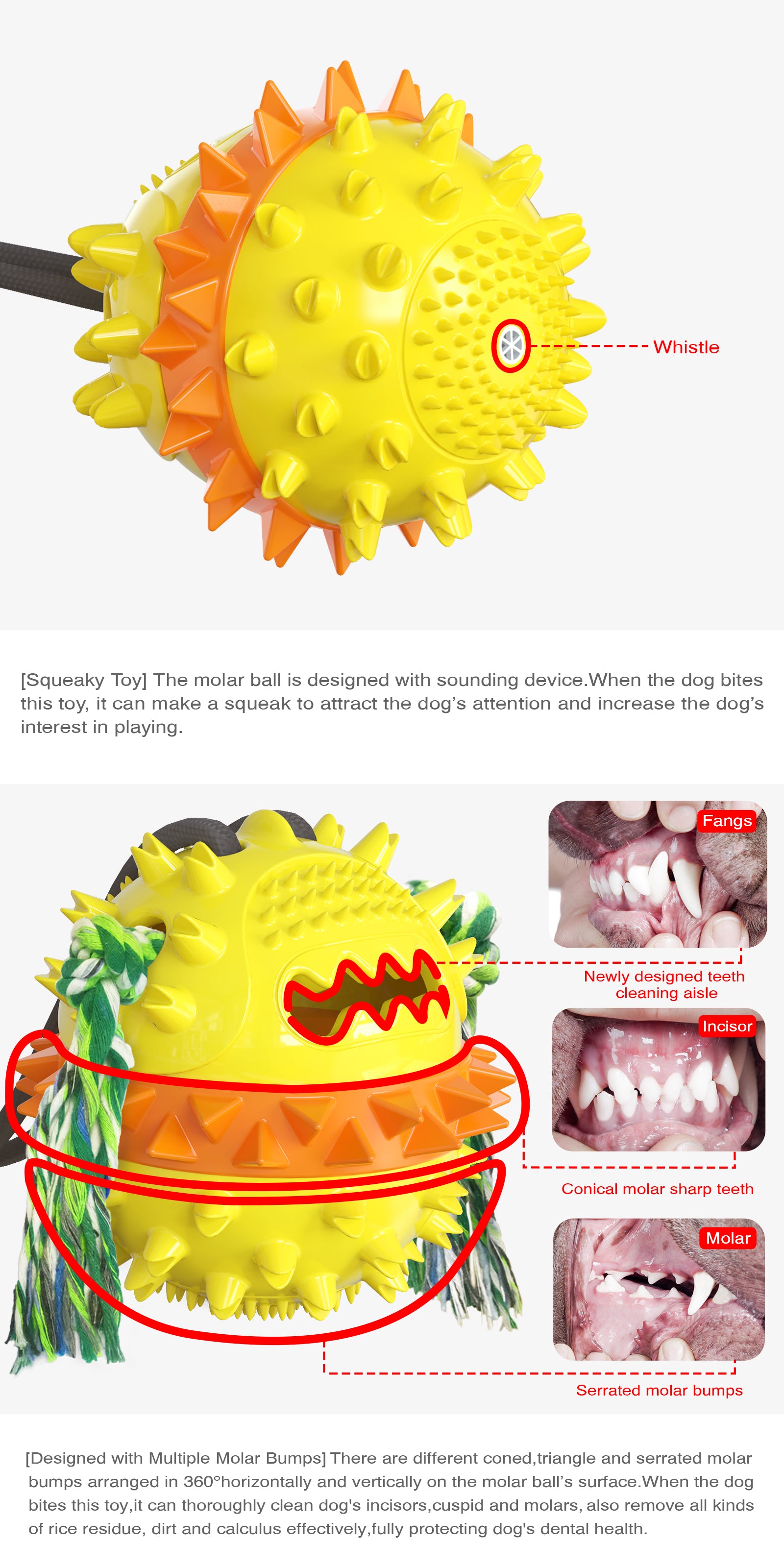 Enhanced Suction Cup Rope Ball Type B – Double Ball Chew Toy for Dogs