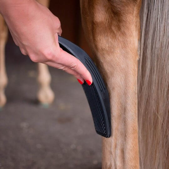 BowLift | 6-In-1 Horse Care Brush - EquiGlow