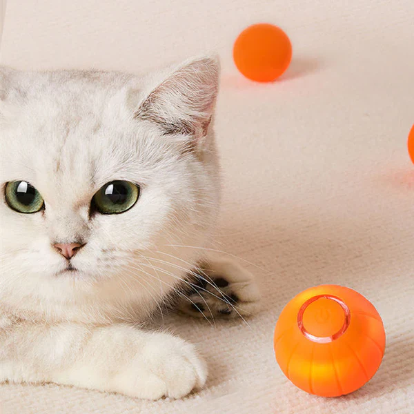 BowLift | Pet Ball (Special Edition)