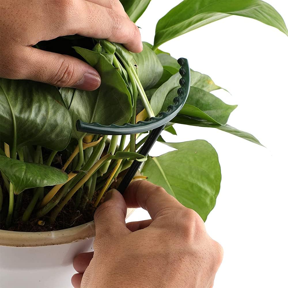 BowLift | Climbing support for plants – Robust holder with cage design for growth and stability