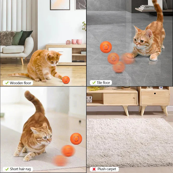BowLift | Pet Ball (Special Edition)