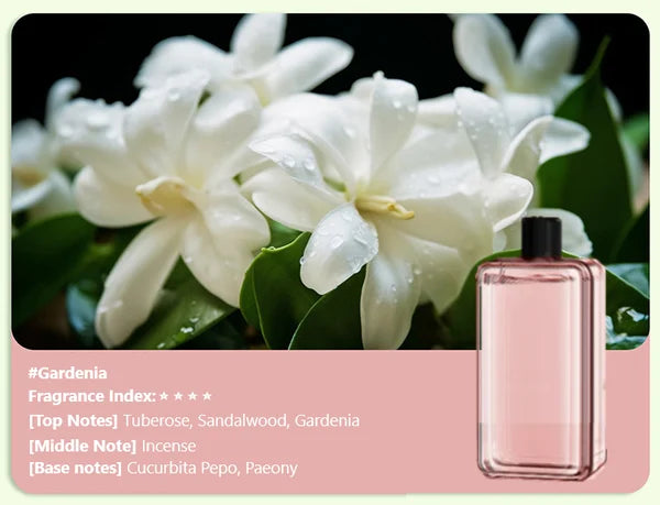 BowLift | Automatic Aromatherapy Diffuser