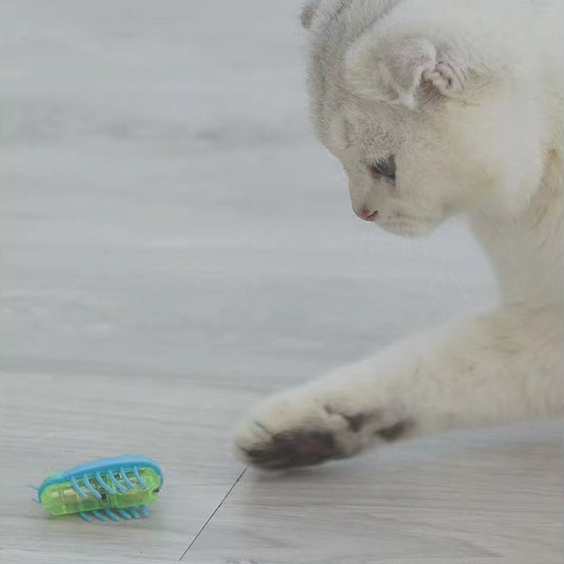BowLift | Pet Electric Insect Toy