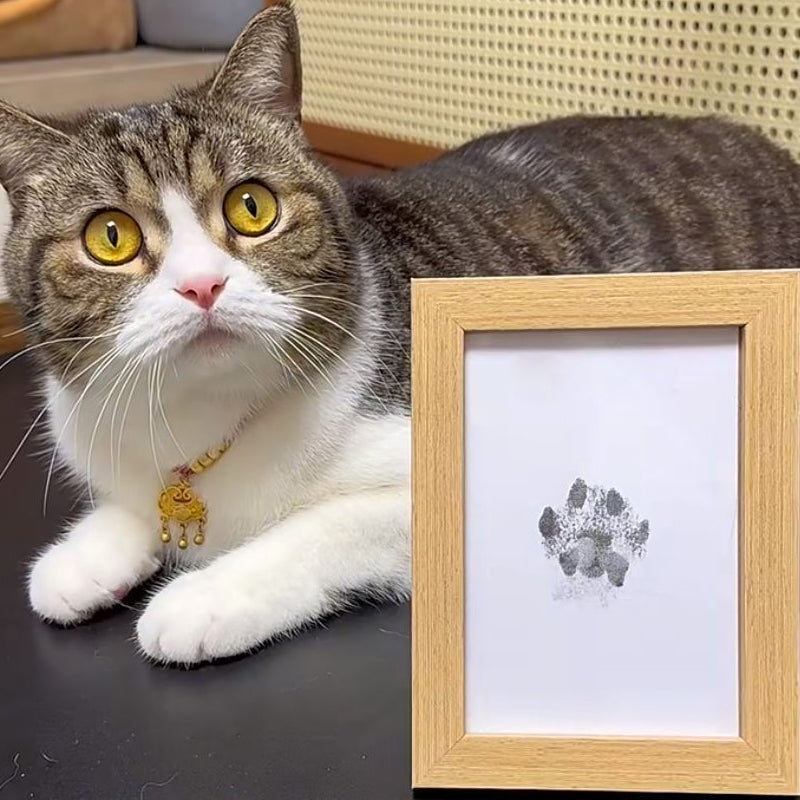BowLift | Pet Paw Printing Kit