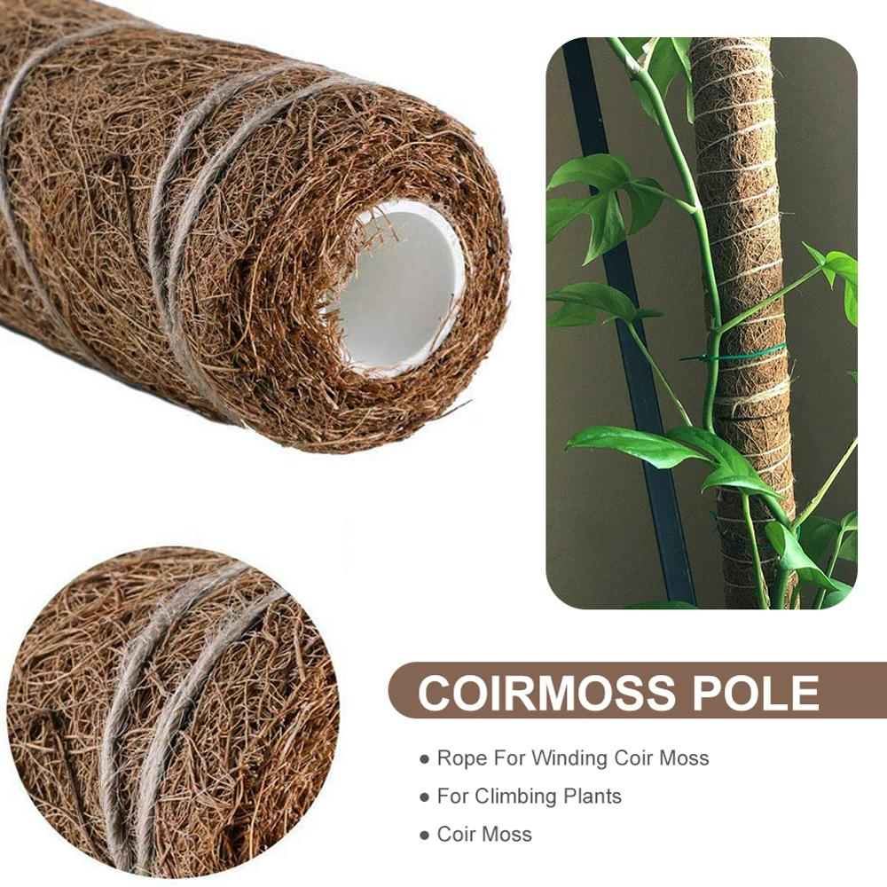 BowLift | Coconut moss stick for climbing plants – Natural climbing aid for houseplants and garden