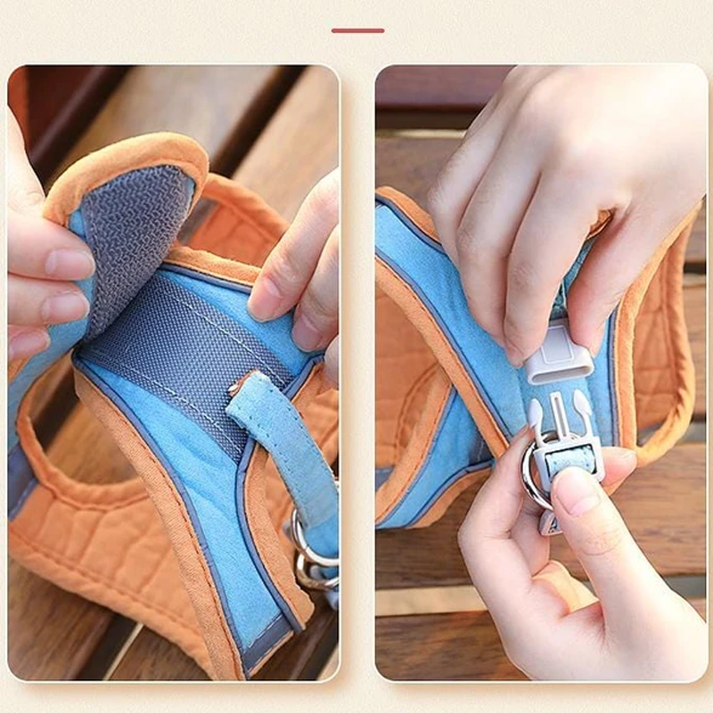 BowLift | Cat Vest Harness and Leash Set