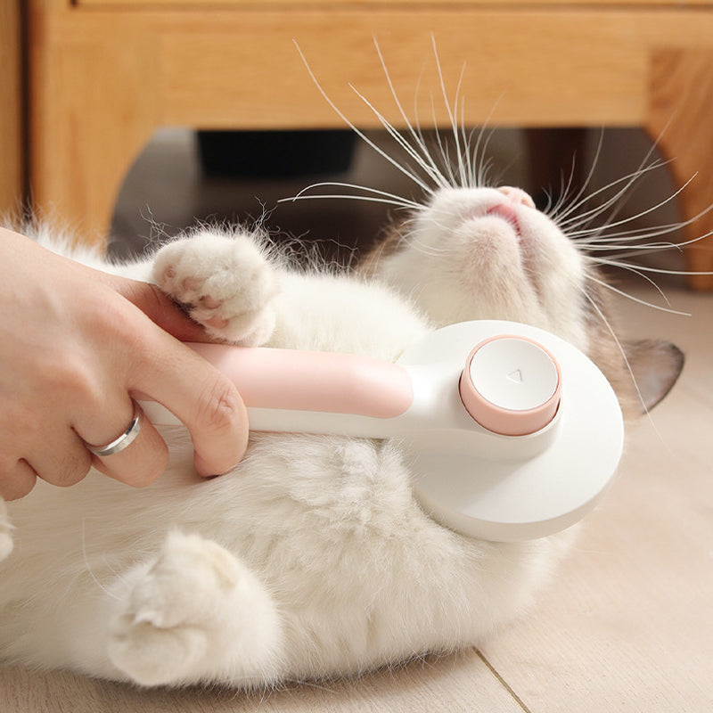 BowLift | Self-cleaning slicker brushes for pets
