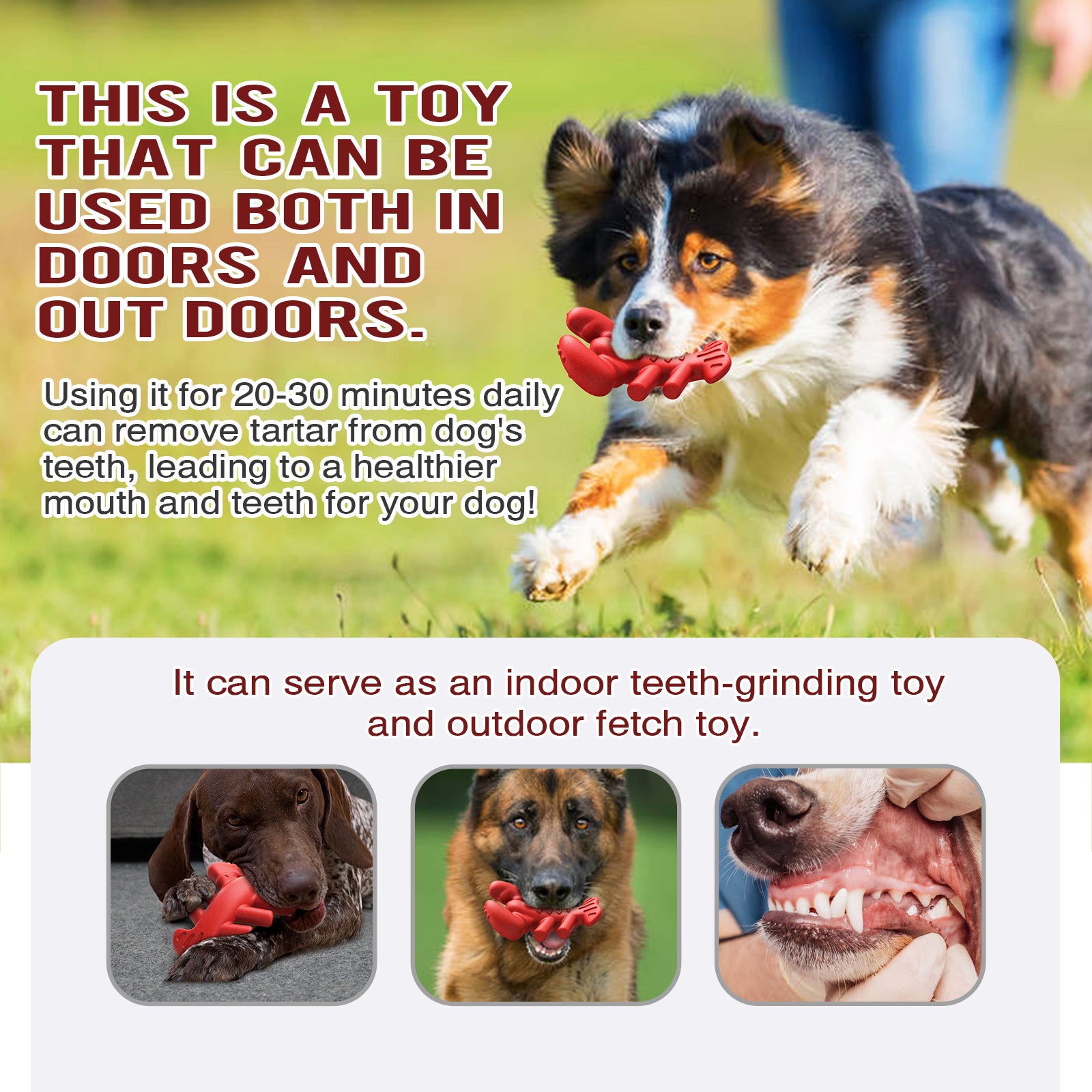 Lobster Chew Stick – Durable Dog Toy for Medium & Large Breeds
