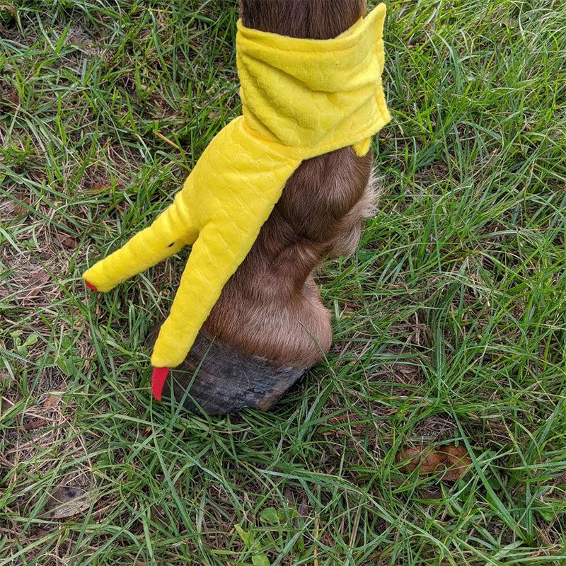 BowLift | Funny Feet For Horse