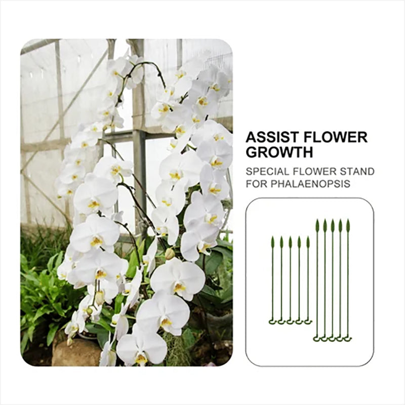 BowLift | Plant Supports Stake