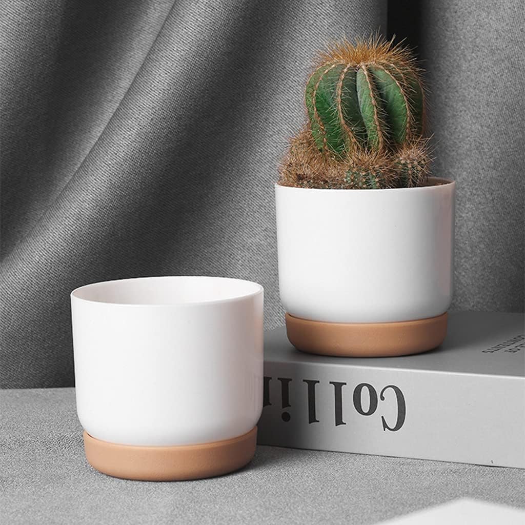 BowLift | Self-watering flower pot for orchids and plants – Plastic plant container