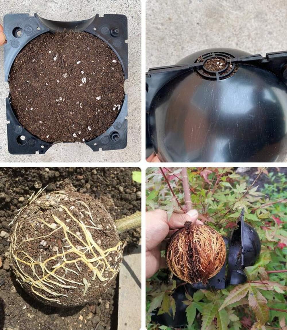 BowLift | Plant protection balls for roots – Protective caps for safe replanting and growth