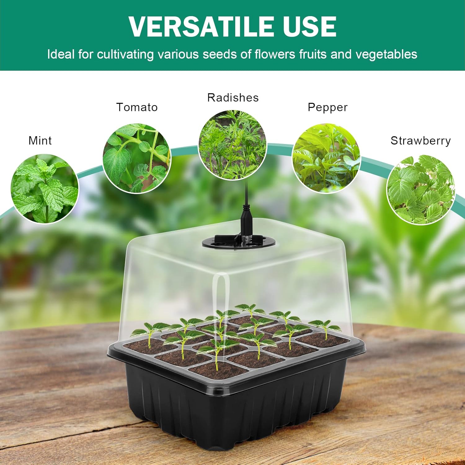 BowLift | Grow kit with light – Complete set for successful plant cultivation