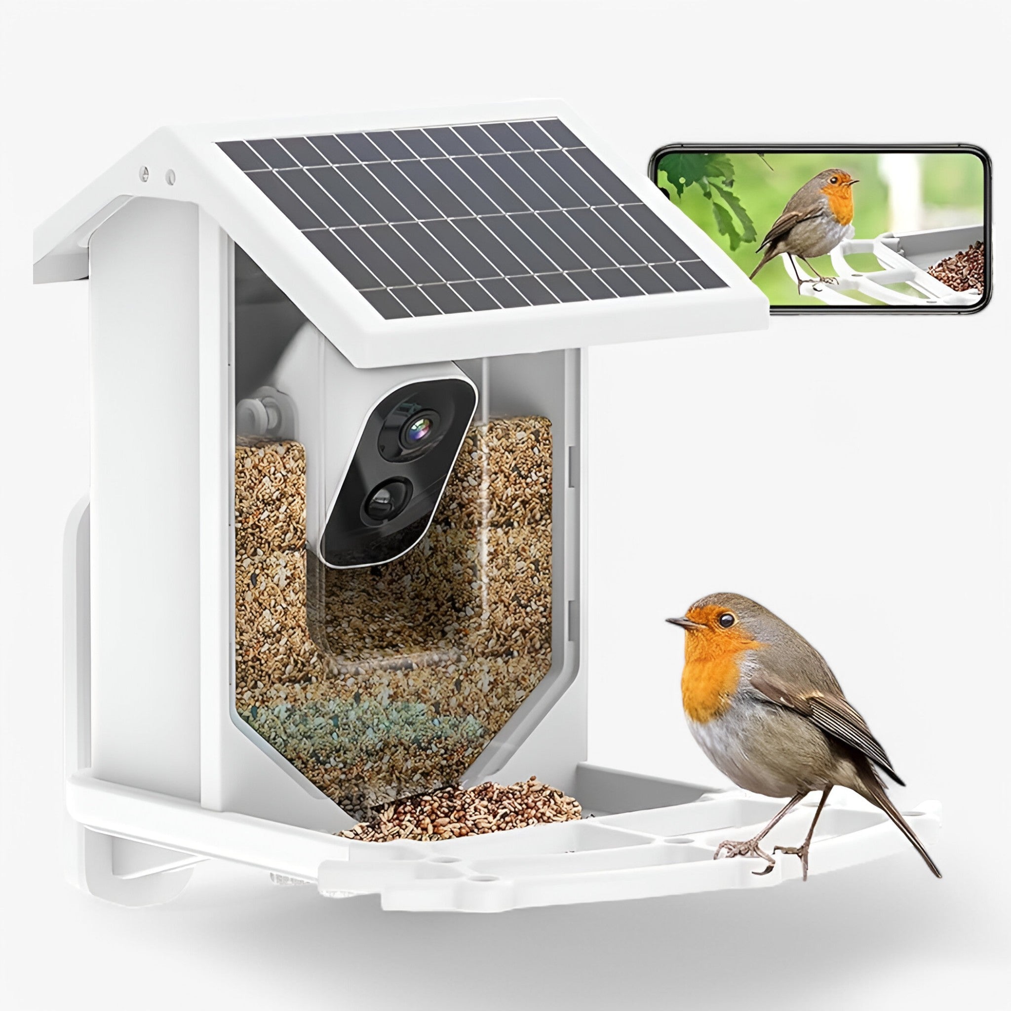 BowLift | Auxco | Smart Bird Feeder with 1080P HD Camera, AI Bird Recognition & Solar Charging