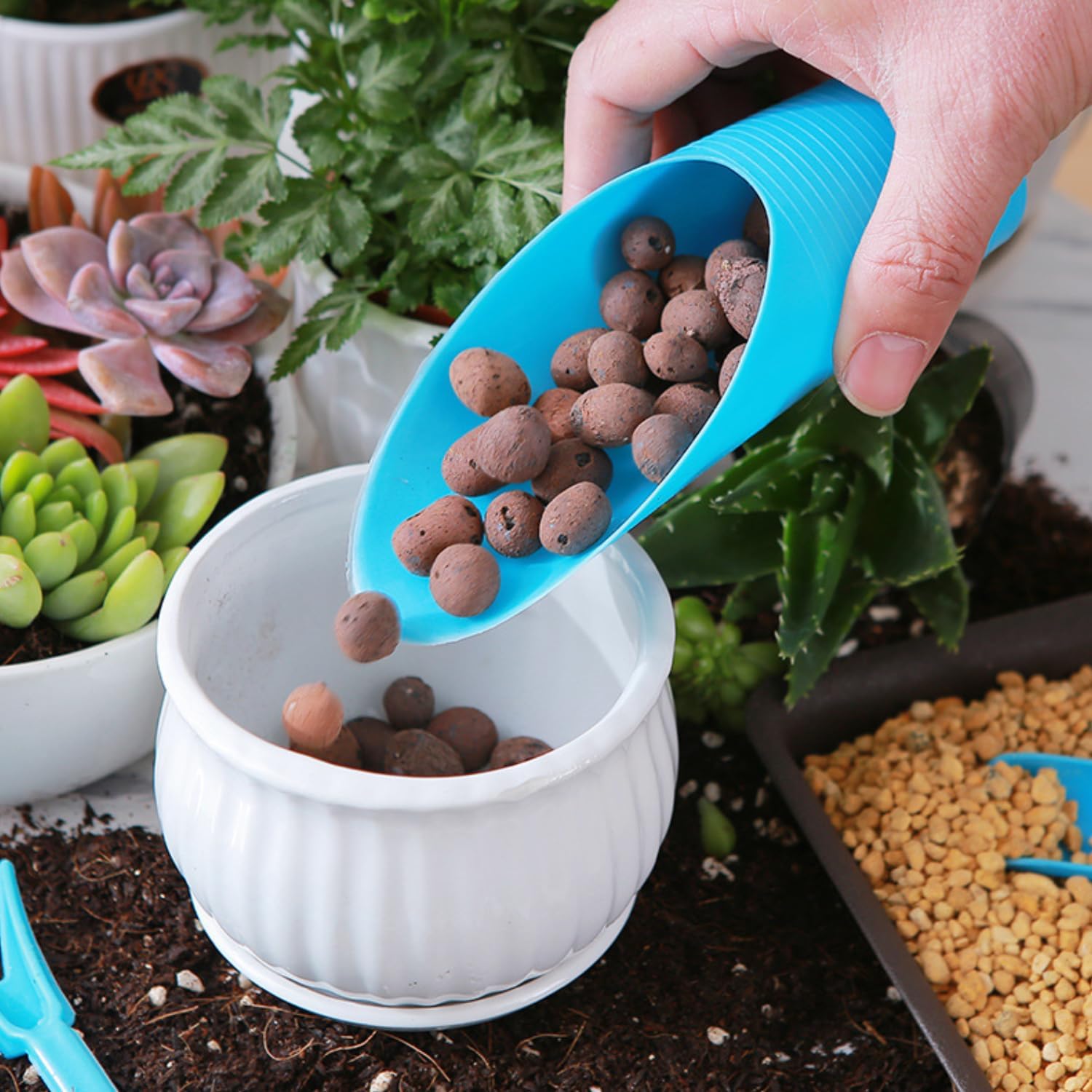 BowLift | Plastic Plant Spade – Practical Tool for Transplanting and Fertilizing Plants