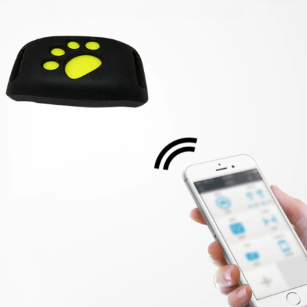 BowLift | Pet GPS Tracker Collar for Dogs and Cats