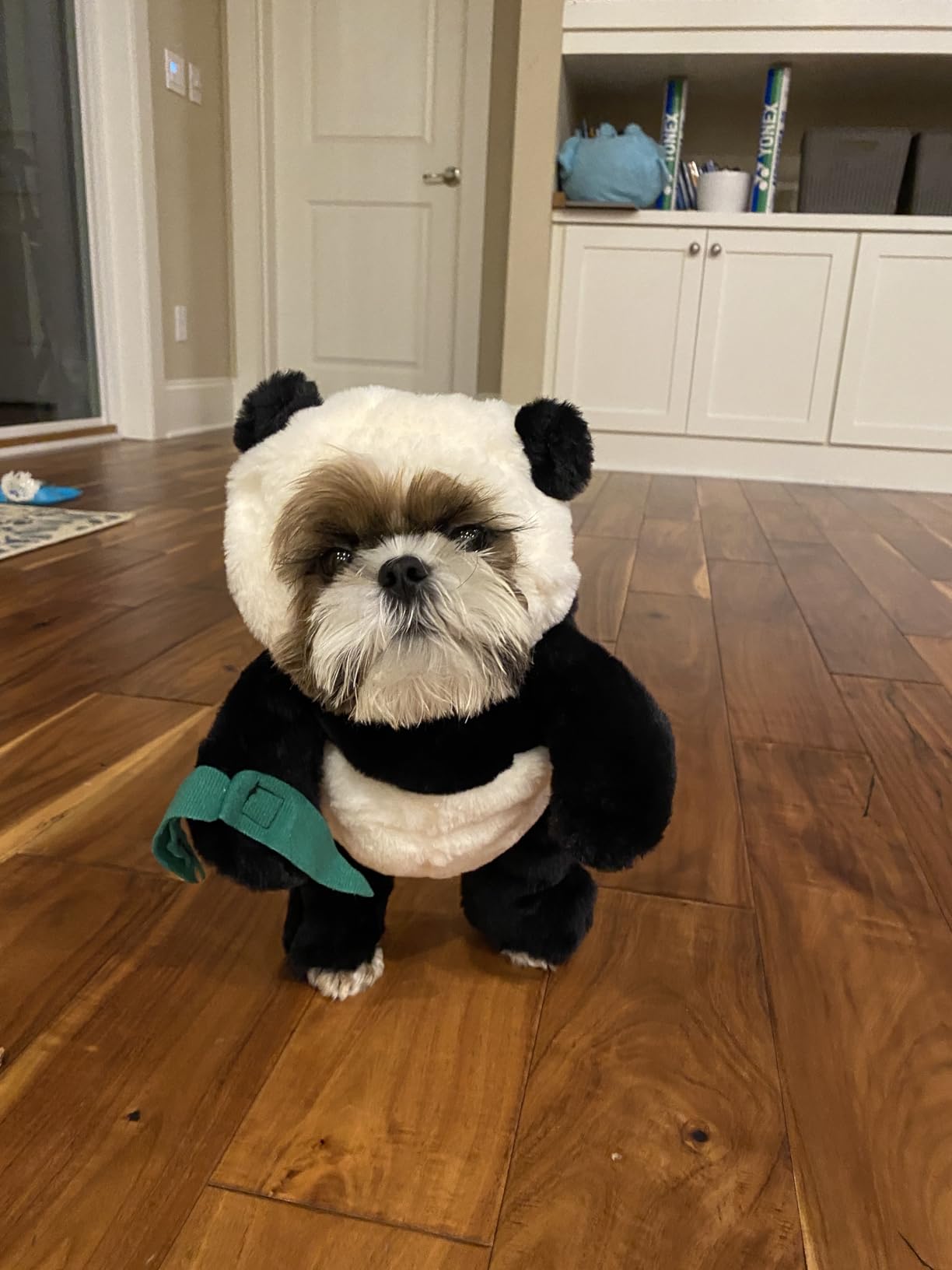 BowLift | Pandaloon Dog and Pet Costume Set