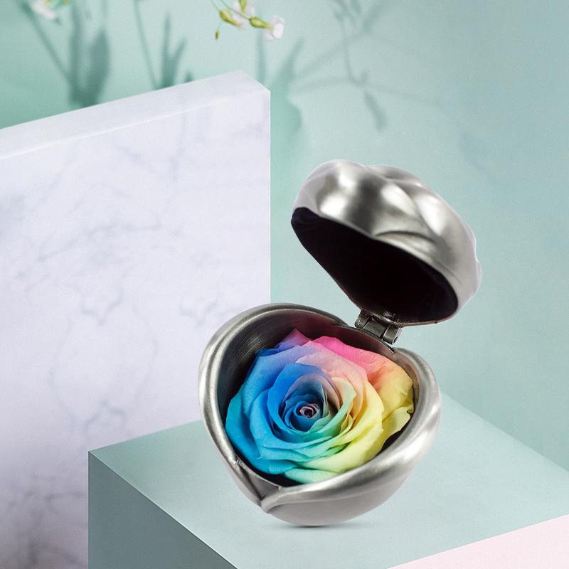 BowLift | Preserved Flower Rose