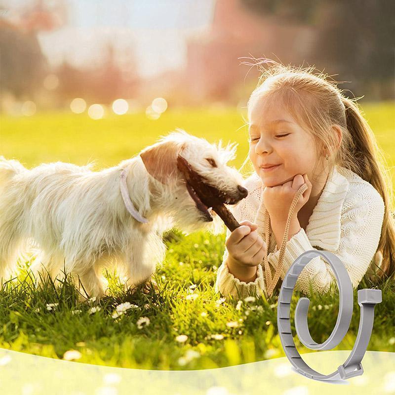 BowLift | Adjustable Insect Defense Collar for Pets