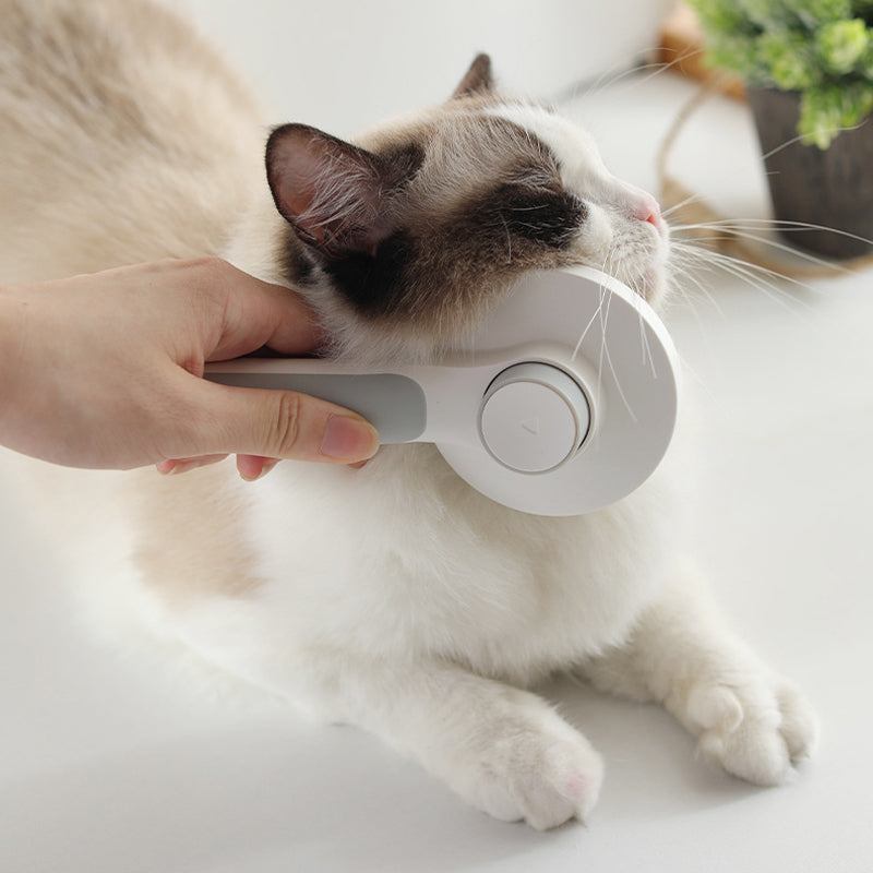 BowLift | Self-cleaning slicker brushes for pets
