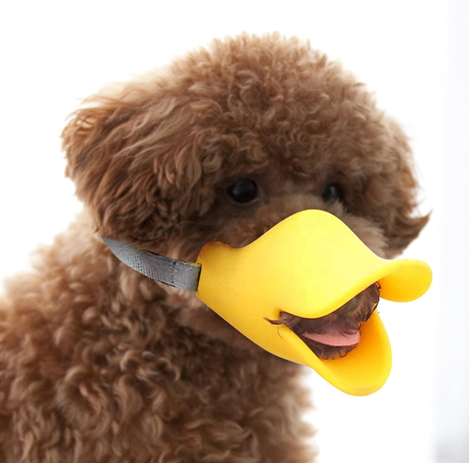 BowLift | Anti Bite Duck Mouth Shape Dog Mouth Covers