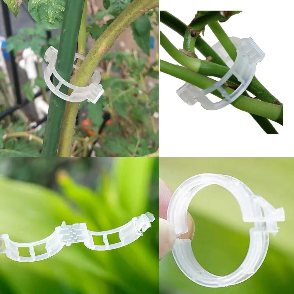 BowLift | Plant support clip for climbing plants – Flexible holder for plant stems