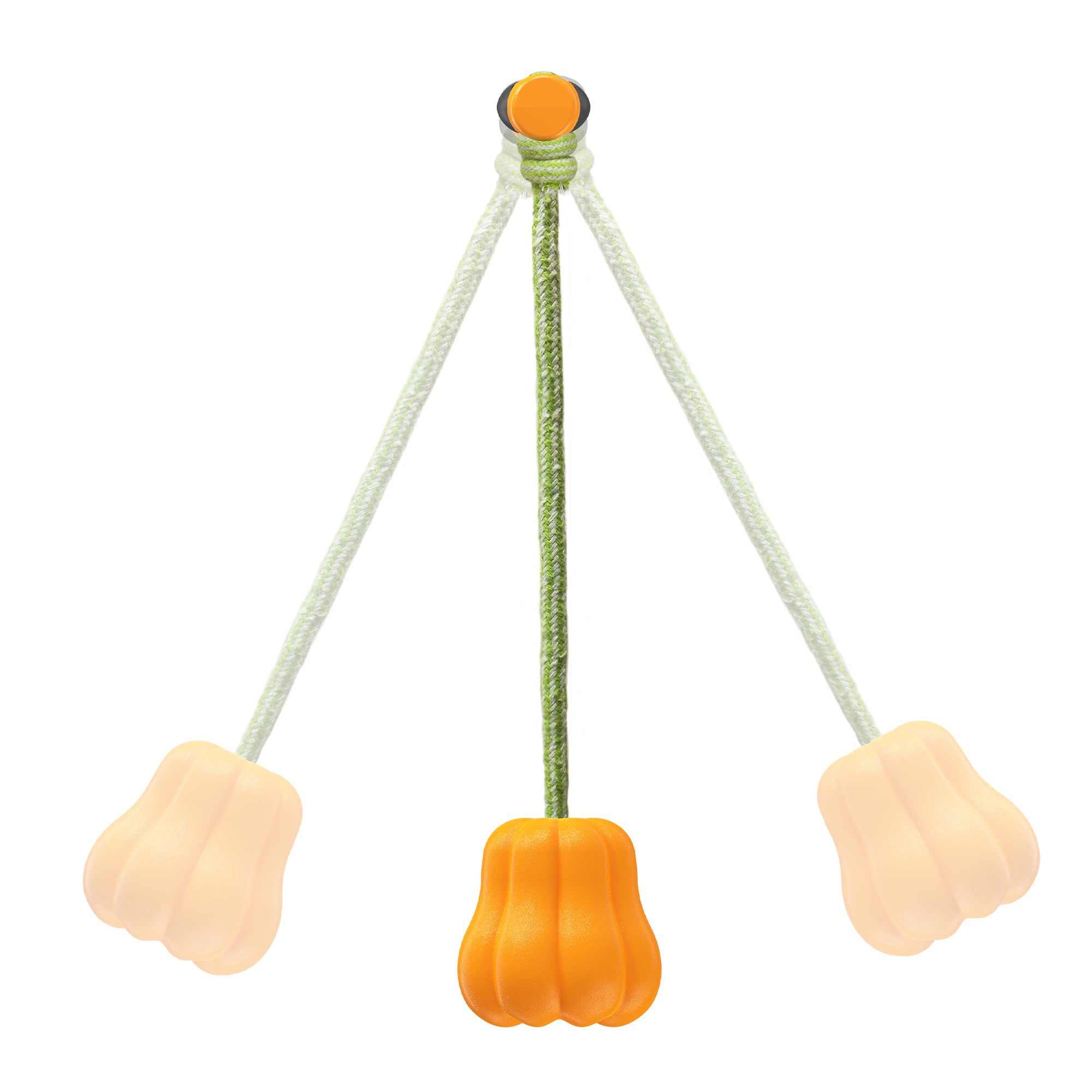Pumpkin Throw Ball – Outdoor Chew & Fetch Toy for Dogs