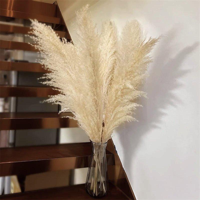 BowLift | 80 cm natural, real dried pampas grass bouquet (white / beige / gray) │ fluffy feather for modern boho home decor