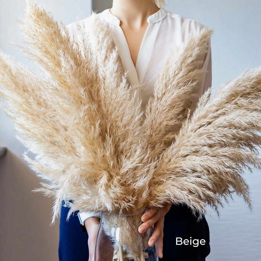 BowLift | 80 cm natural, real dried pampas grass bouquet (white / beige / gray) │ fluffy feather for modern boho home decor