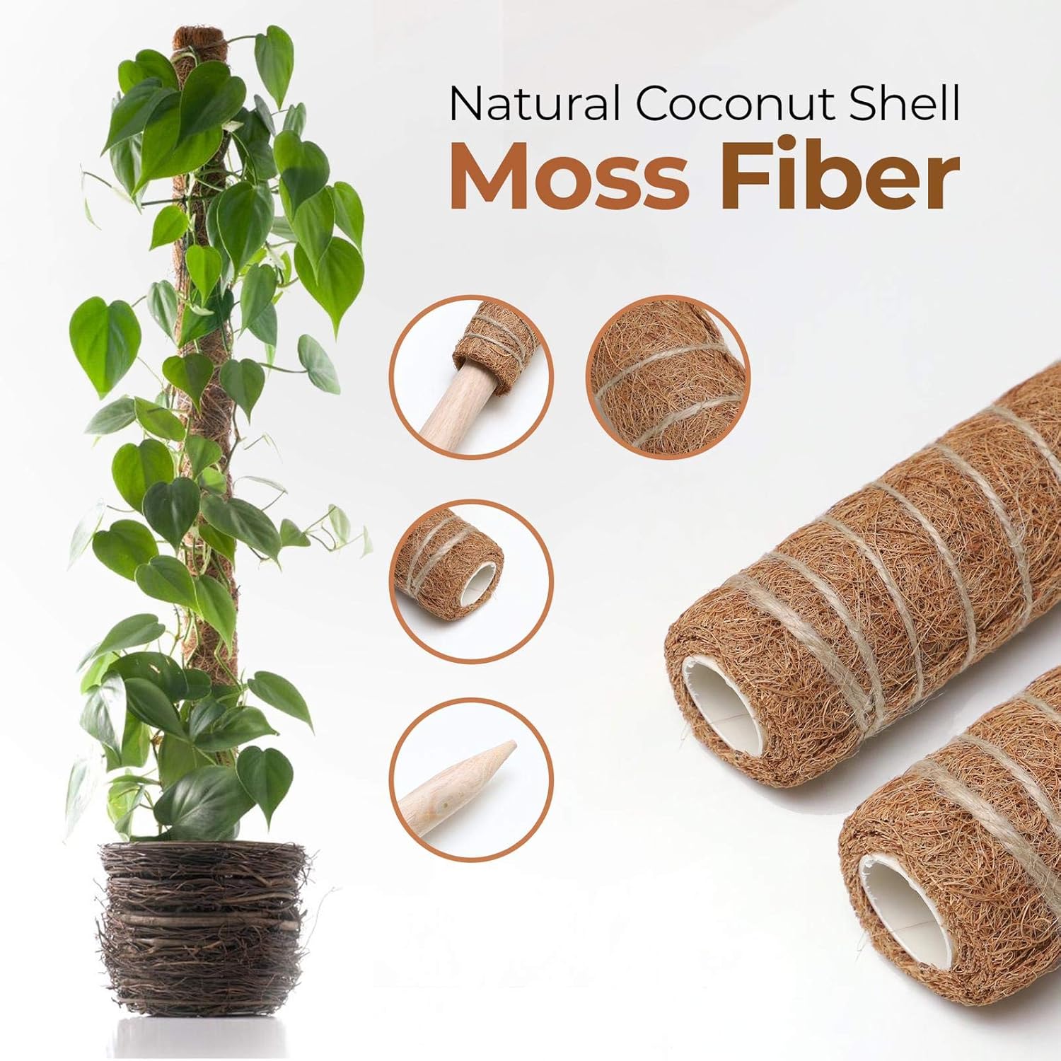 BowLift | Coconut moss stick for climbing plants – Natural climbing aid for houseplants and garden