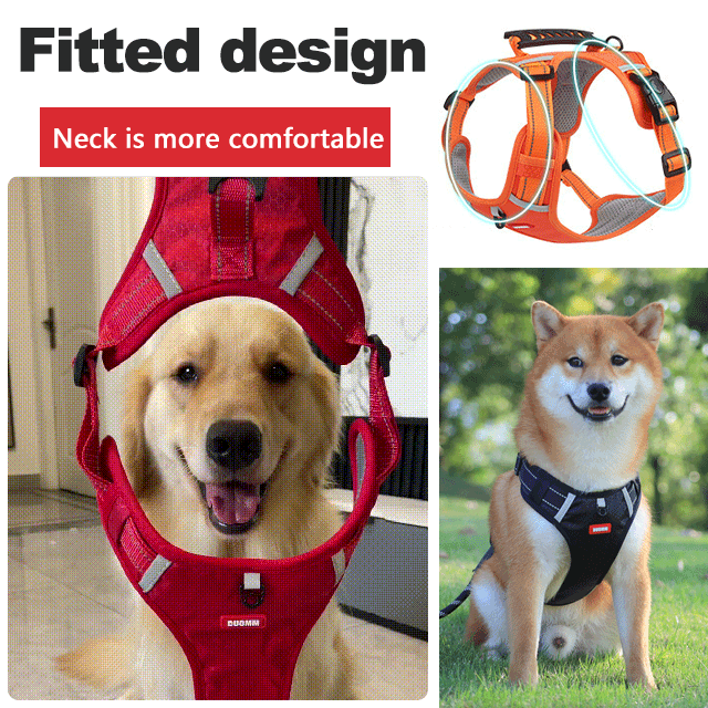 BowLift | No Pull Dog Harness for Pets
