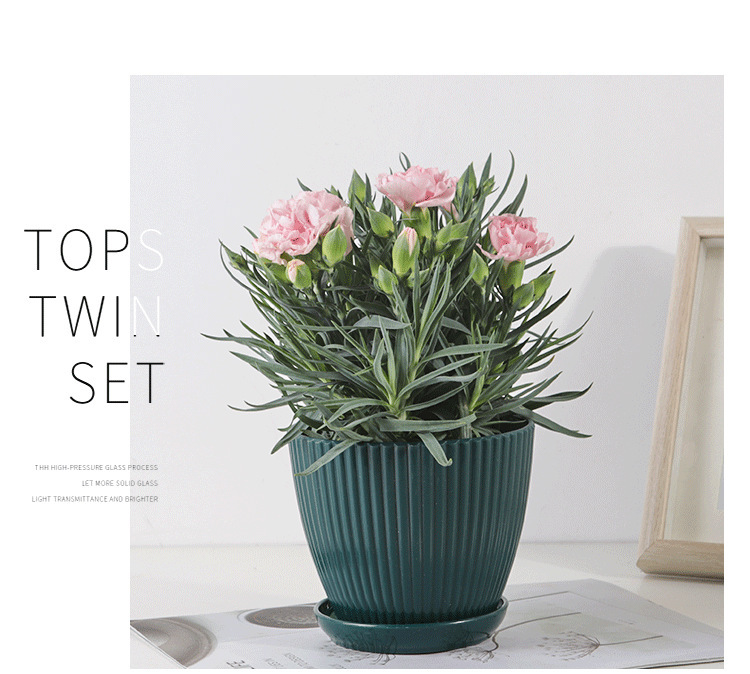 BowLift | Flower pot with groove structure and saucer – Sturdy plastic pot for plants